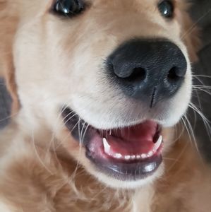 Meet your Posher, Ben